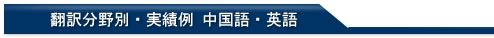 翻訳分野別・実績例(中国語・英語)